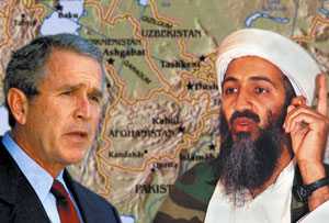 bushandbinladen