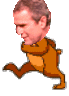 bushhampsterani