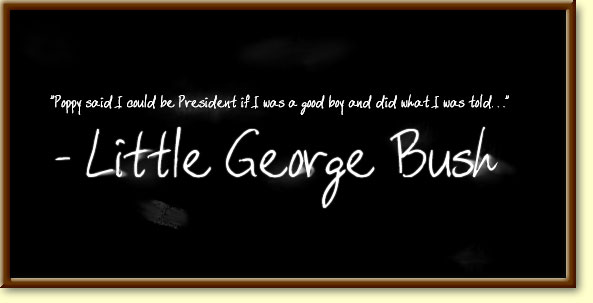 littlegeorgebushlogo