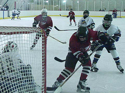 037hockeyactiongoal