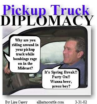 bushpickuptrucknoaction