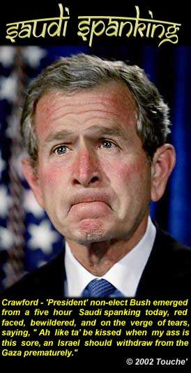 bushssaudispanking
