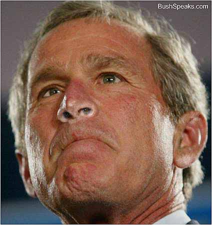 bushsniffs