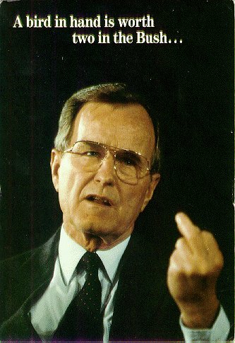bushsrgivindabird