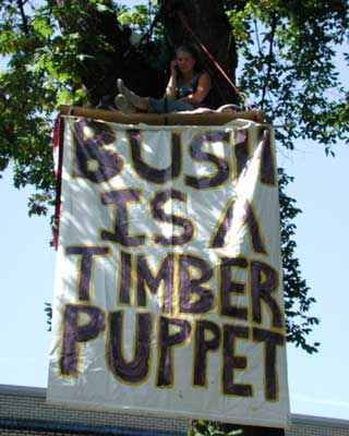 portlandtimberpuppet