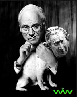 lapdog