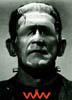 frankensteinbush