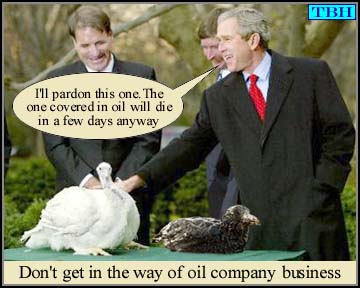 bushpardonsturkeyforoil