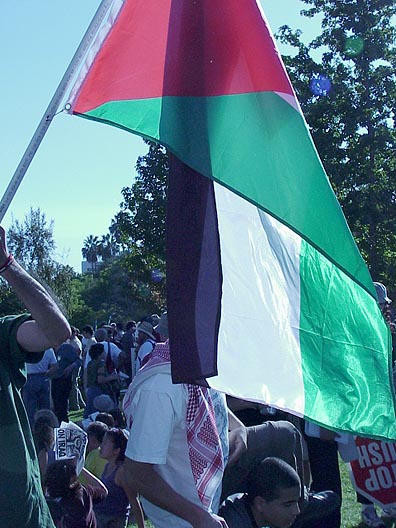 084palestinianflag