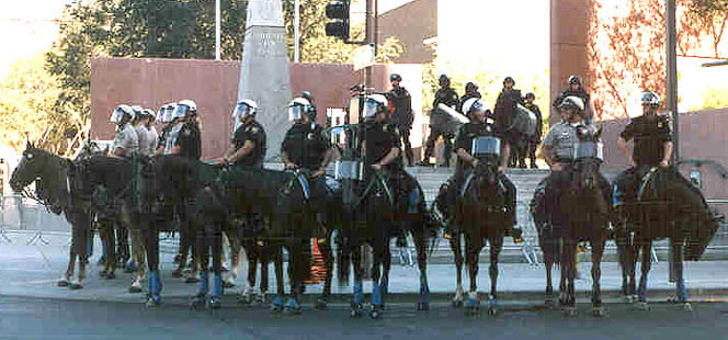phoenixhorses