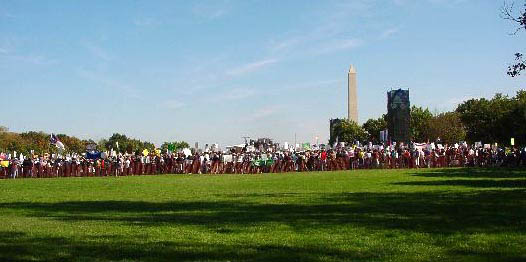 nationalmalllawnandcrowd