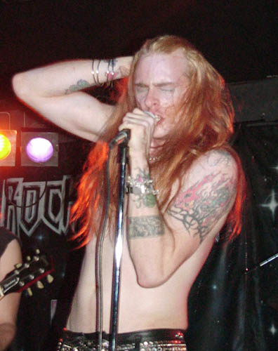 126hollywoodrosesaxl