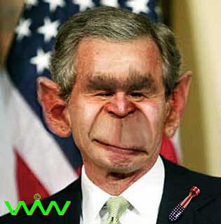 monkeybomber