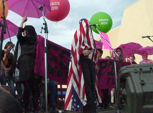 376michelleshockflag