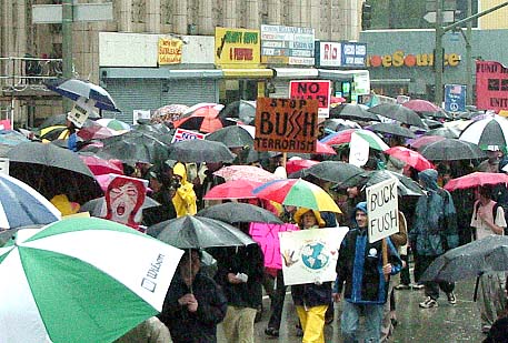 210bushnaziumbrellas