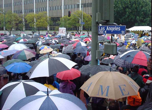 seaofumbrellas.large