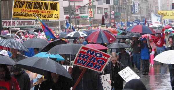 umbrellasintherain