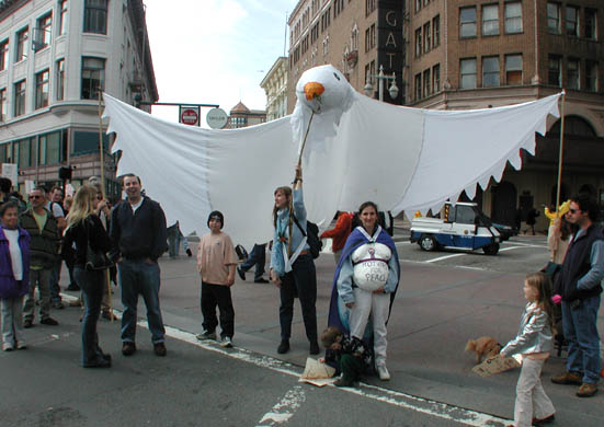 sfbigbird
