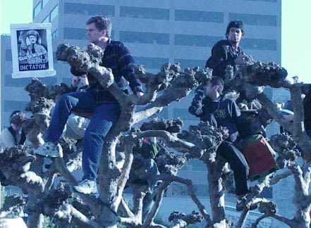 227treepeople2