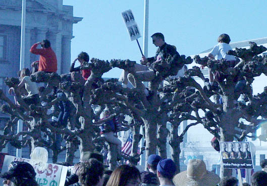 228treepeople