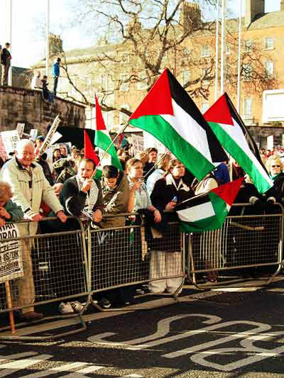 palestineflagsireland