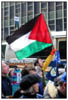 palestinianflag