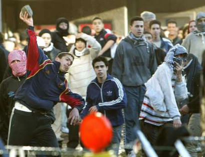 brusselsthrowlargestone