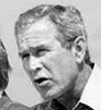 bush-hitler