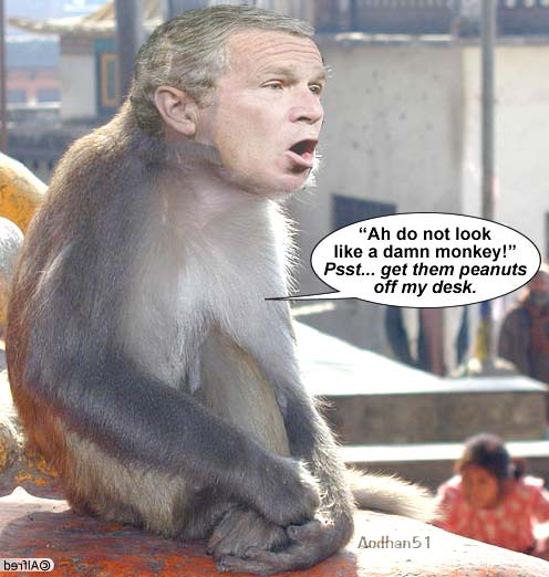 monkeyman