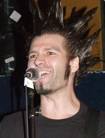 068guitarhair