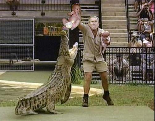 crock-bush