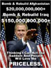 thecostofbushmistakes