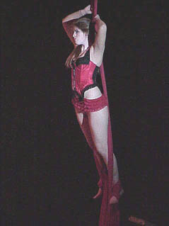 aerialartist1.revkev