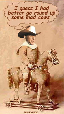 madcowboy