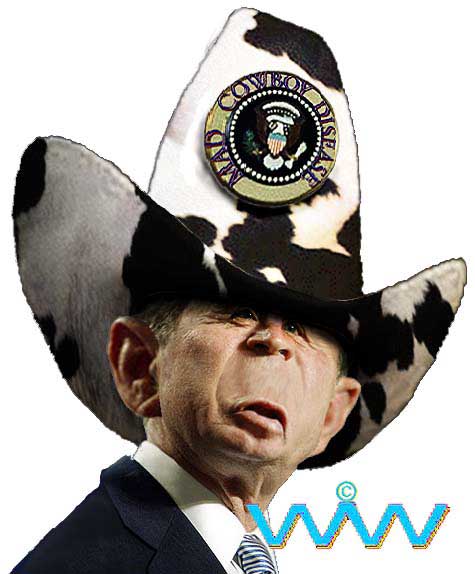 madcowboydisease