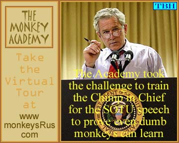monkeyacademy