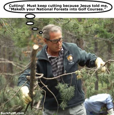 bushDeForest