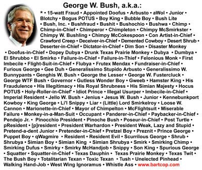 names4bush