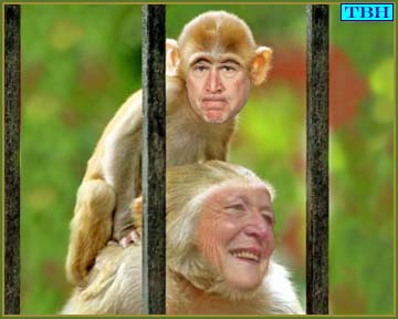 monkeyandmom