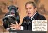 minidubya