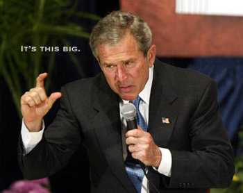 BUSH-itsthisbig