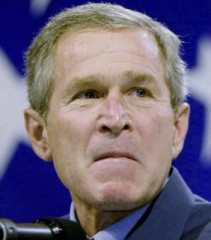 bushsnarlrevisited