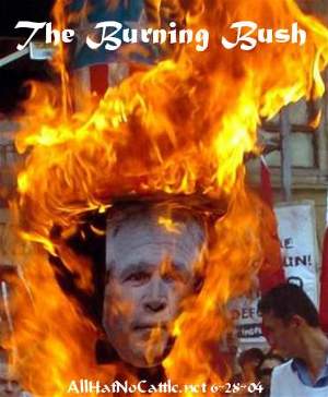 burn-w-bush