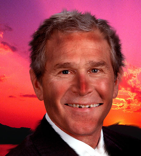 hobo bush