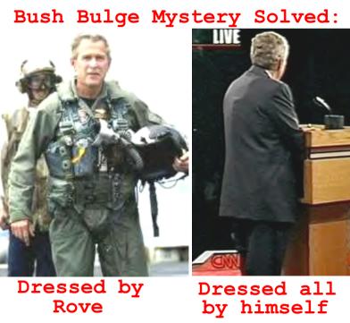 bushbulgesolved
