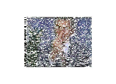 bushfinger2