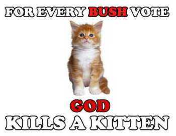 kitten