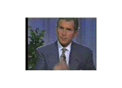 bushfinger2