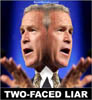 two-faced-bush