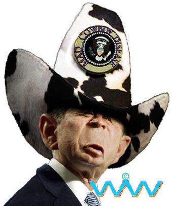 madcowboydisease